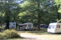 Bois de Saint-Hilaire in 86190 Chalandray / Poitou-Charentes